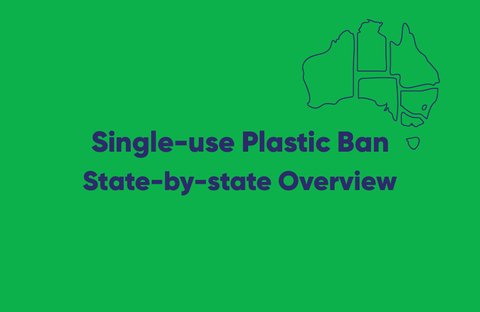 Tackling the single-use plastic challenge in Australia: state-by-state overview