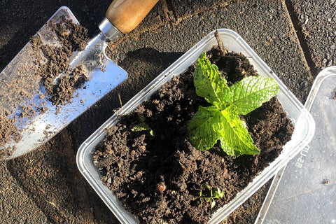 Food container creativity – 7 ideas for repurposing food packaging