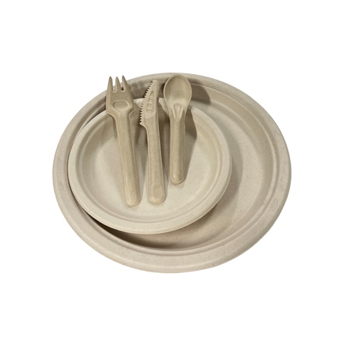 BioChoice™ Sugarcane 250 Piece Party Pack