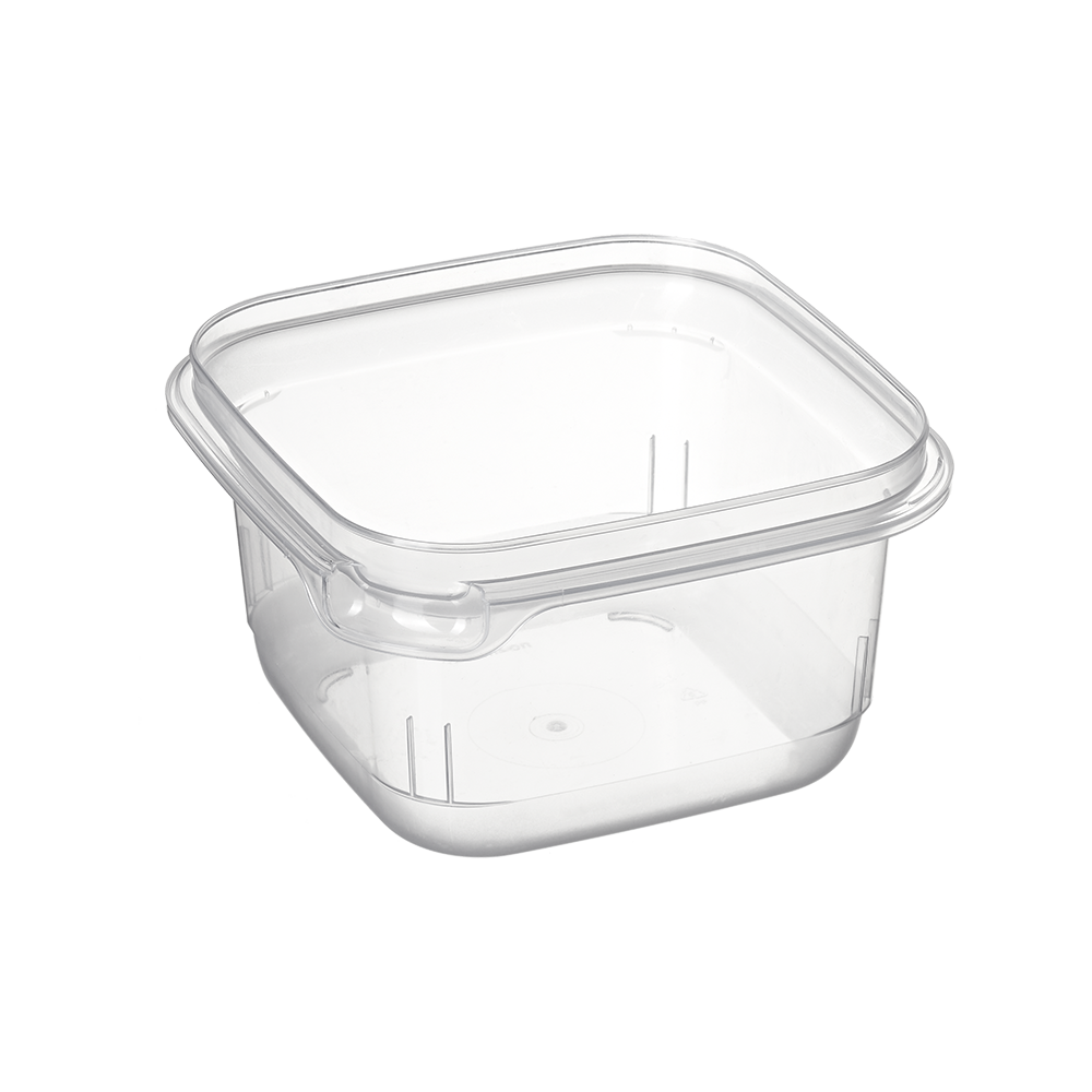 Square Tamper Evident Containers, Recyclable | BonsonTE™ - Bonson ...