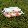 Clear plastic container with sushi on a grassy surface