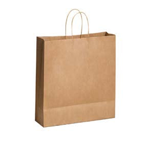 Large Brown paper bag with gusset and twine handles on a white background