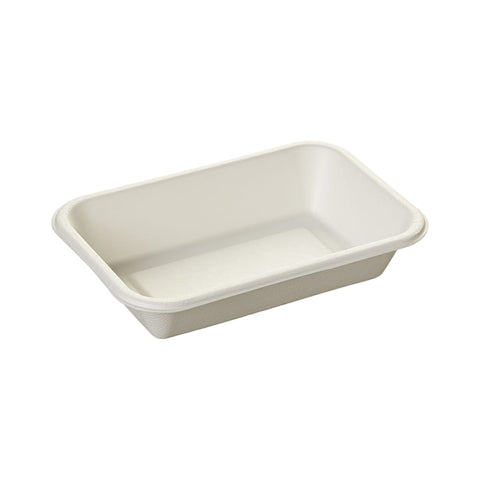 BioChoice™ Sugarcane Rectangular Tray on a white background