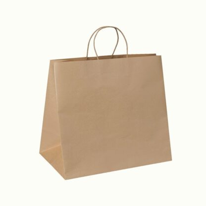 paper carry bags with twist handle